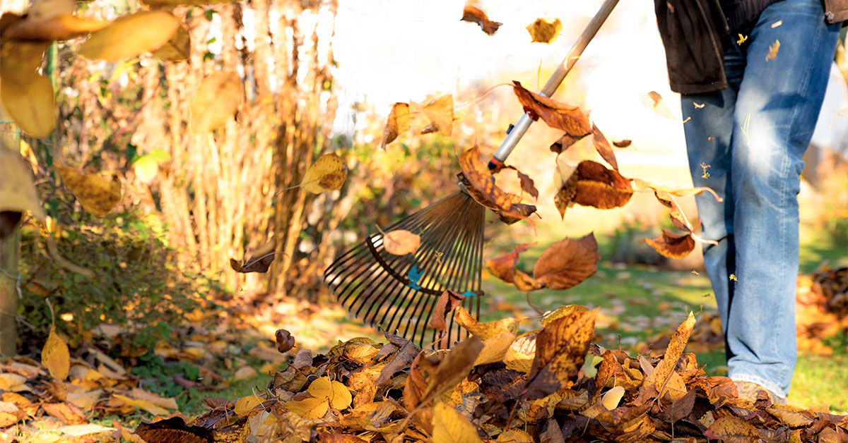 health benefits of raking leaves