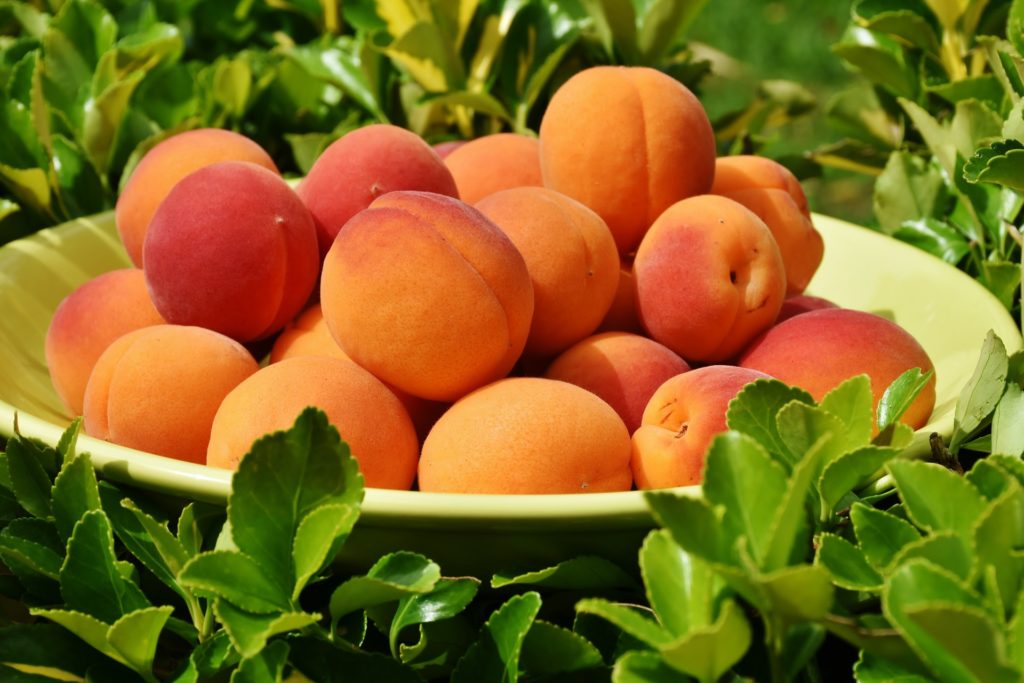 Nutritional Value of Peaches Individual Fitness